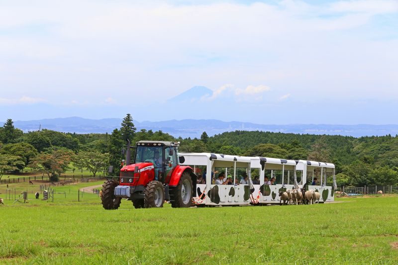 Chiba Mother Farm Ticket Tokyo - Getting there from Tokyo takes planning