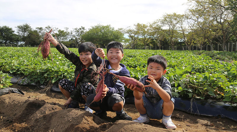 Chiba Mother Farm Ticket Tokyo - Who will enjoy Mother Farm most