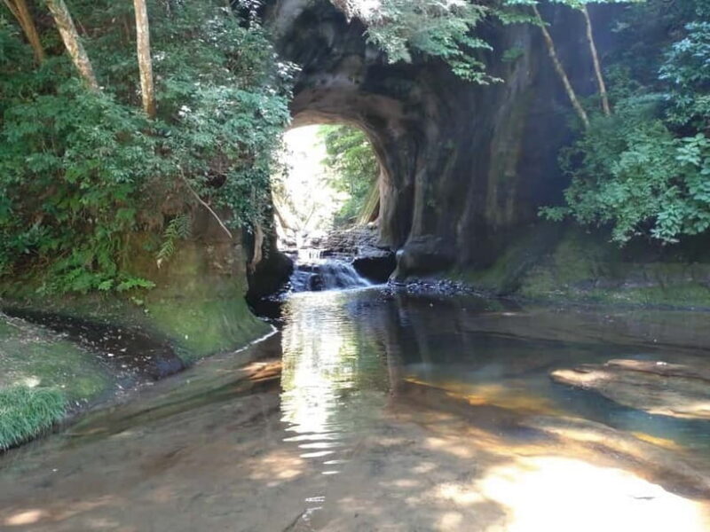 Chiba: Okuboso Nature Tour with Local Guide - Good To Know