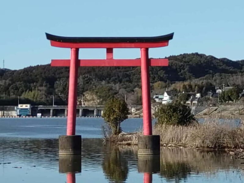 Chiba: Okuboso Nature Tour with Local Guide - An Introduction to the Experience