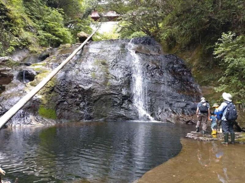 Chiba: Okuboso Nature Tour with Local Guide - Why We Think This Tour Is Worth Considering