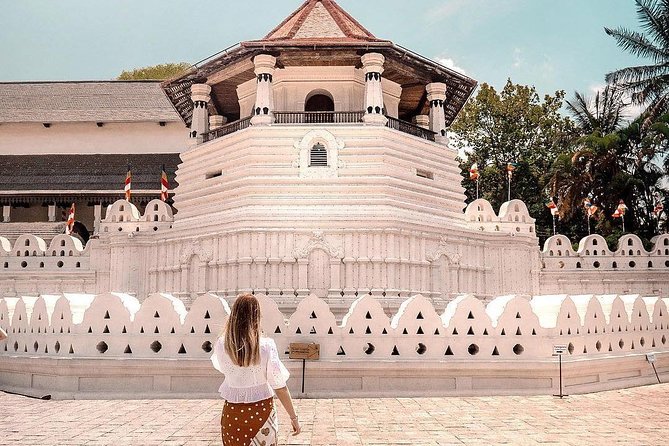 Chic Island 10 Days Tour - Meals and Dining Experiences