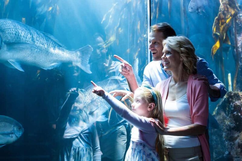 Chicago: 1-5 Day Attraction Pass with Shedd Aquarium - The Sum Up: Is the Chicago Attraction Pass Worth It?