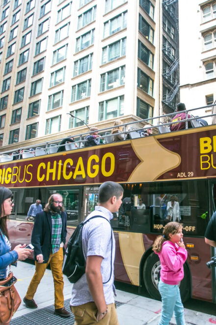 Chicago: Architecture River Cruise & Hop-on Hop-off Bus Tour - Customer Ratings and Feedback