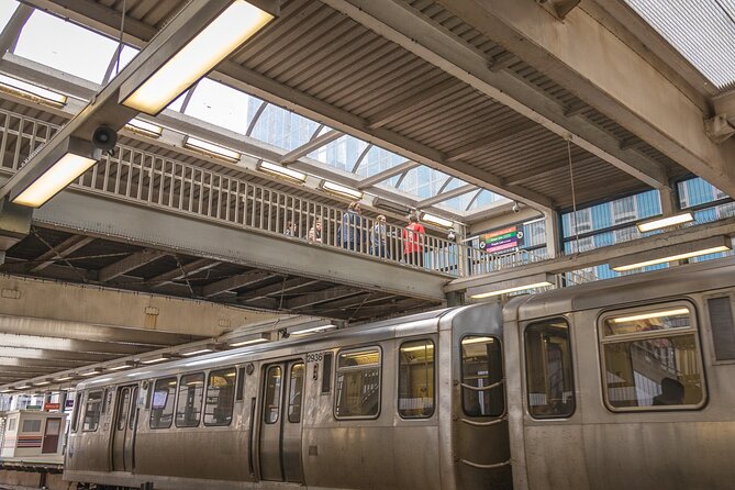 Chicago City Tour by L Train - Local Insights