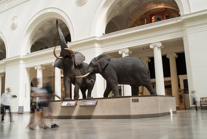 Chicago CityPASS - Positive Experiences With Citypass