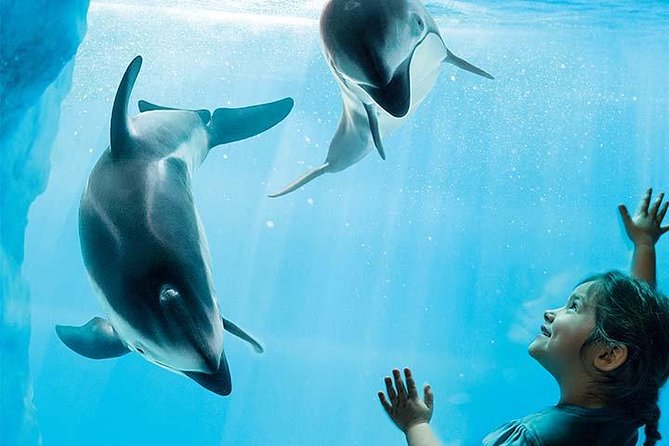 Chicago CityPASS - Issues With Viator App and Customer Service