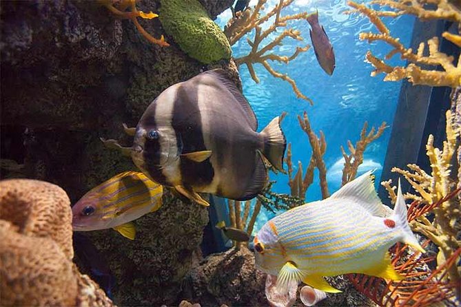 Chicago CityPASS - Common Questions