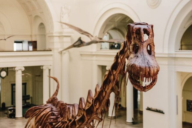 Chicago: CityPASS Save 48% or More on 5 Top Attractions - Selecting Participants and Dates