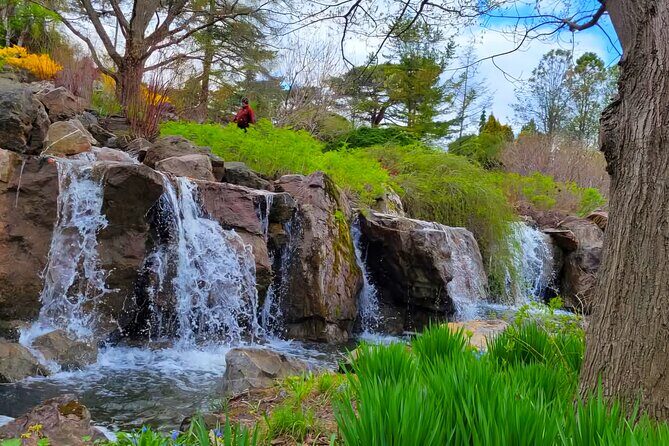 Chicago City's Iconic Sights and Suburb Gems Tour - Final Thoughts on Value