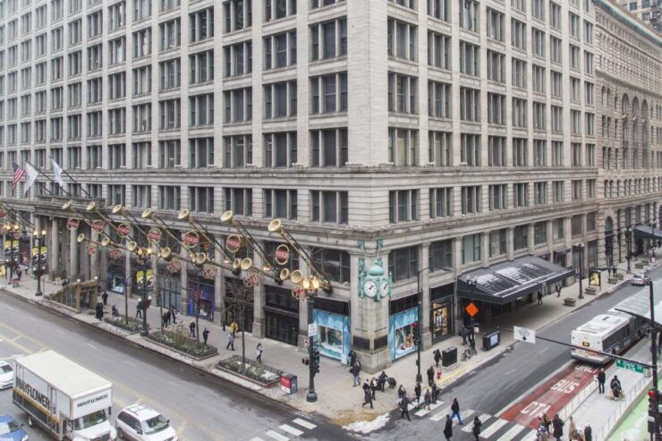 Chicago Downtown Highlights Private Walking Tour - Tour Details