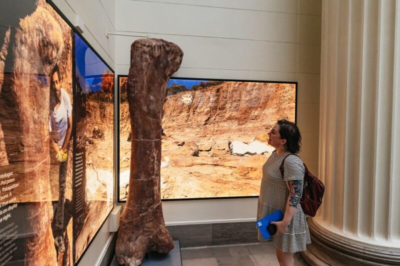 Chicago: Field Museum of Natural History Ticket or VIP Tour - Good To Know
