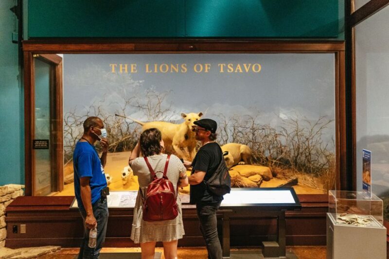 Chicago: Field Museum of Natural History Ticket or VIP Tour - FAQ