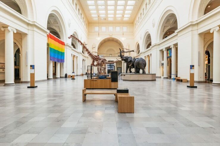 Chicago: Field Museum of Natural History Ticket or VIP Tour - Ticket Options and Flexibility