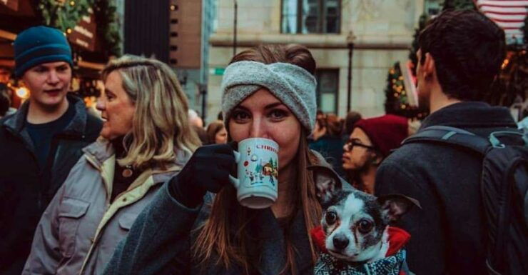 Chicago: Guided Holiday Walking Tour and Food Sampling - Activity Details