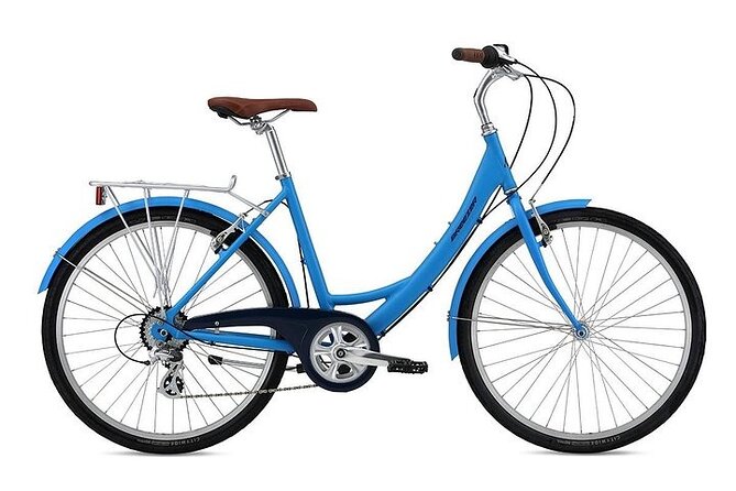 Chicago Half Day Bike Rental - Overview of the Bike Rental