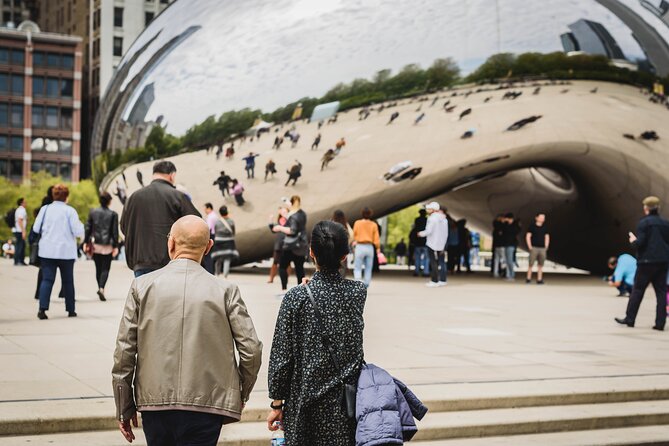 Chicago Highlights Half-Day Small-Group Driving Tour - Tour Details