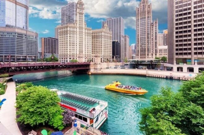 Chicago : Highlights Walking Tour With A Guide - Tour Experience