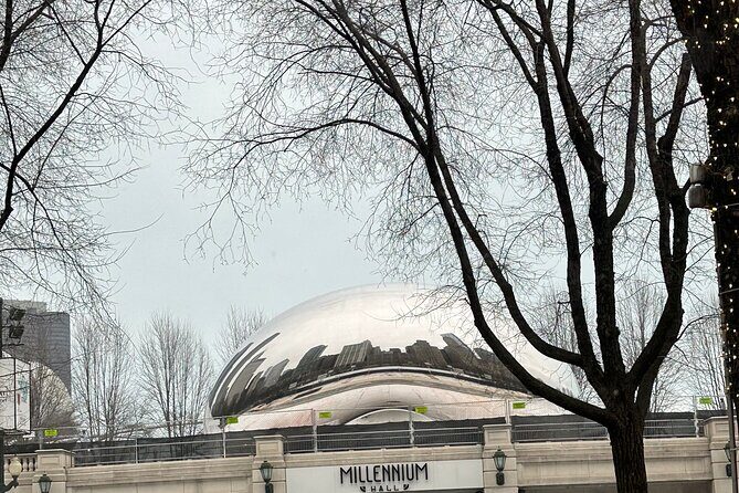 Chicago In A Day With A Local - Weather and Cancellation Policies