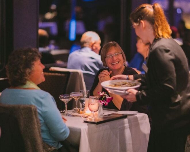 Chicago: Lake Michigan Gourmet Brunch/Lunch/Dinner Cruise - Live Music and Dancing