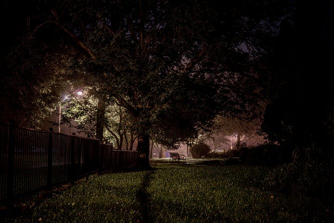 Chicago Lincoln Park Ghost Stories Small-Group Walking Tour - Addressing Negative Reviews and Feedback