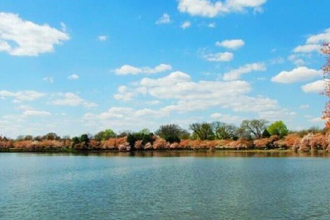 Chicago Milwaukee and Lakes 6 Day Tour - Final Thoughts