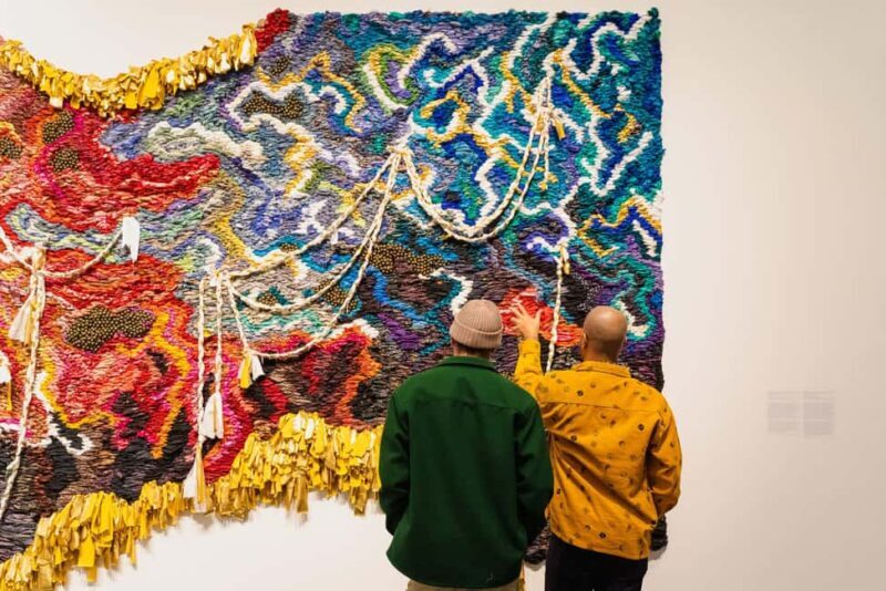 Chicago: Museum of Contemporary Art (MCA) Entry Ticket - The Experience: A Closer Look