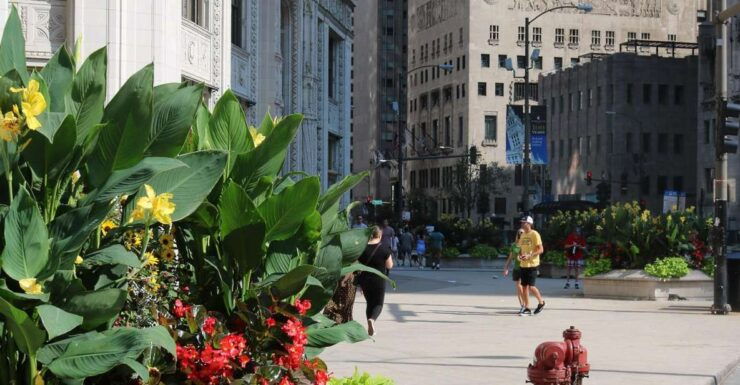 Chicago: Vice, Crime and Gangsters Self-Guided Audio Tour - Booking and Practical Information