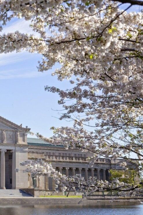 Chicago'S Artsy Cultural Landmarks – Walking Tour - Good To Know