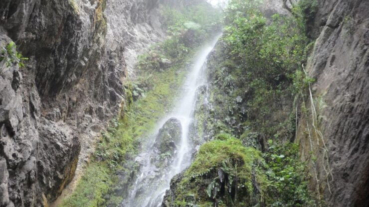 Chicaque Full-Day Trip From Bogotá - Trip Duration and Guide Availability