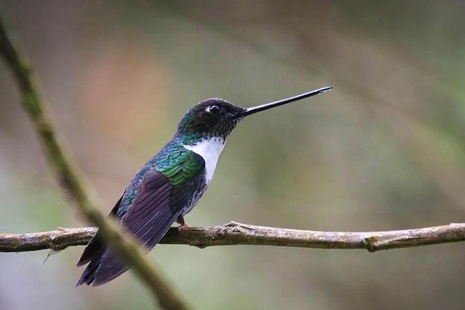 Chicaque National Park - Pricing and Booking Details
