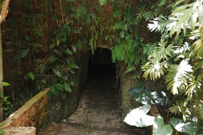 Chichen Itza, and Cenote Tsukán PREMIUM - Snorkeling in the Cenote Tsukán