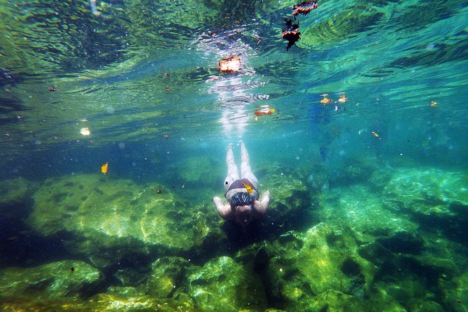 Chichen Itza Tour - Cancellation Policy Details