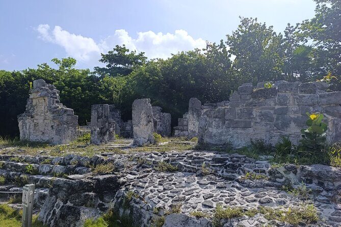 Chichen Itza VIP Tour Cenote, Maya Village, and Gourmet Buffet - Analyzing the Value