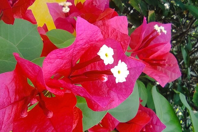 Chichen Itza Your Way - Getting There