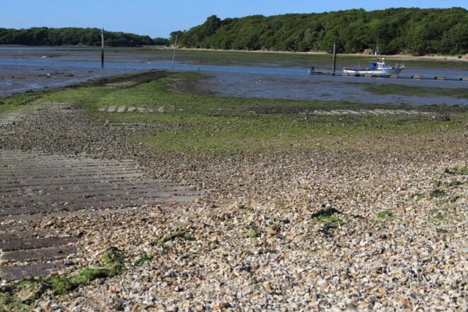 Chichester and West Sussex Photography and Tourist Tours - Booking Details