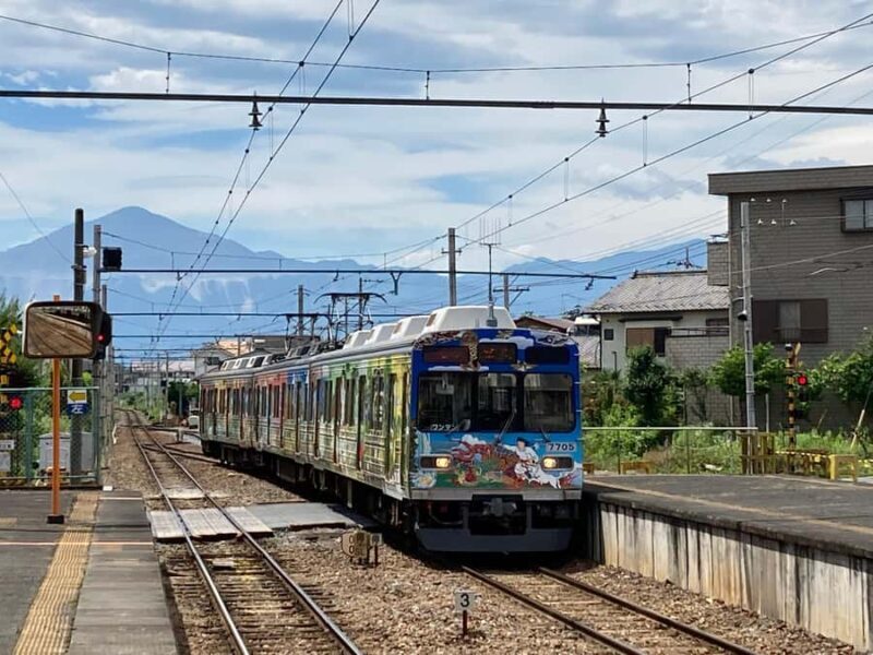 Chichibu Day Trip from Tokyo: Forest Retreat & Scenic Views - Good To Know