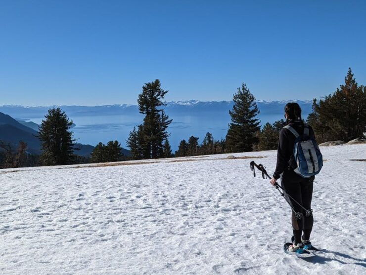 Chickadee Ridge Beginner Snowshoeing Hike - Activity Details