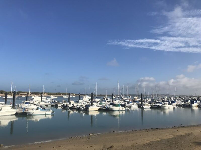 Chiclana De La Frontera: Coast of Sancti Petri Catamaran Tour - Good To Know