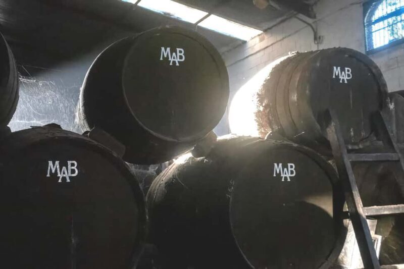 Chiclana de la Frontera: Winery Tour with Wine Tasting - Discover the Flavors of Andalusia: Winery Tour with Wine Tasting in Chiclana de la Frontera