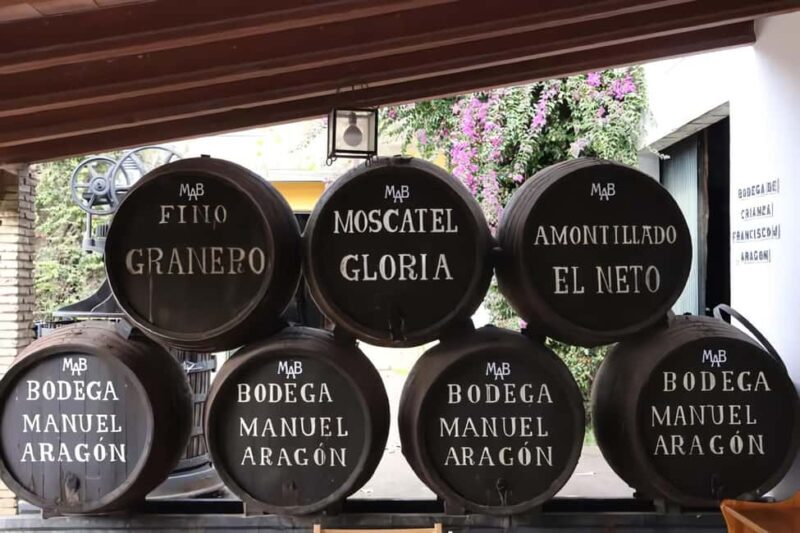 Chiclana de la Frontera: Winery Tour with Wine Tasting - The Sum Up: Is This Tour Worth It?