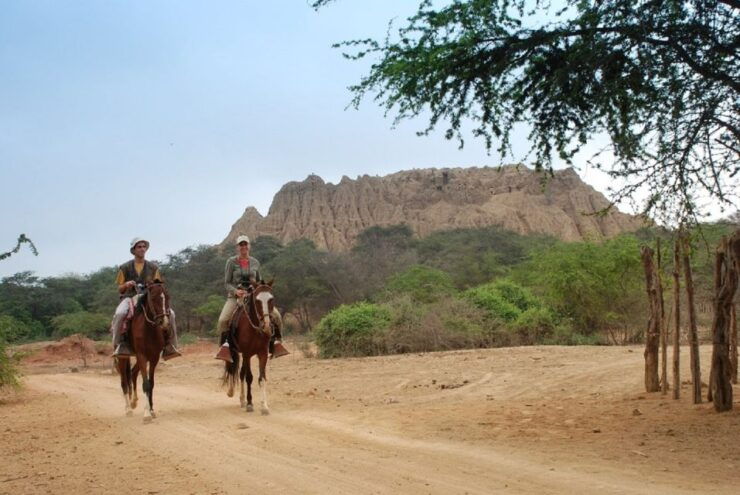 Chiclayo: Pomac Forest Historic Sanctuary & Sican Museum - Tour Information