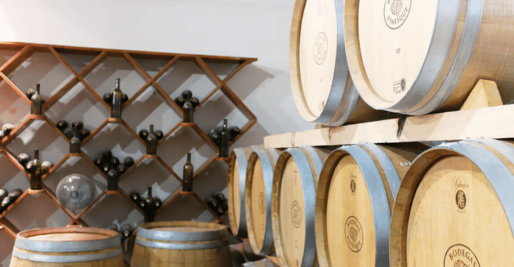 Chihuahua: Insignia Winery Wine Tasting Experience - Exploring the Winemaking Process