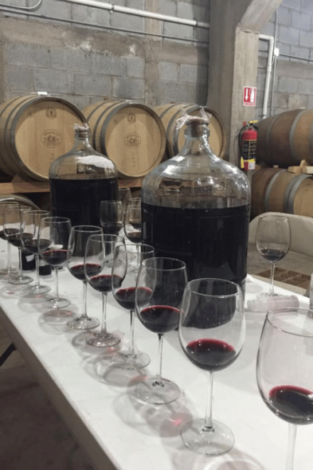 Chihuahua: Insignia Winery Wine Tasting Experience - Insignias Barrel Room Tour