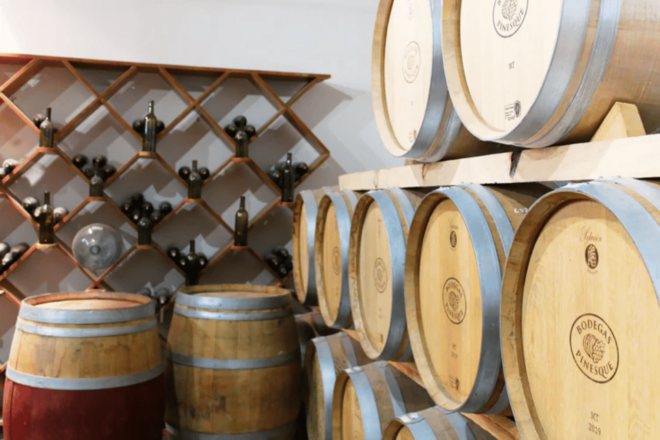 Chihuahua: Insignia Winery Wine Tasting Experience - Pairing Wines With Delicacies