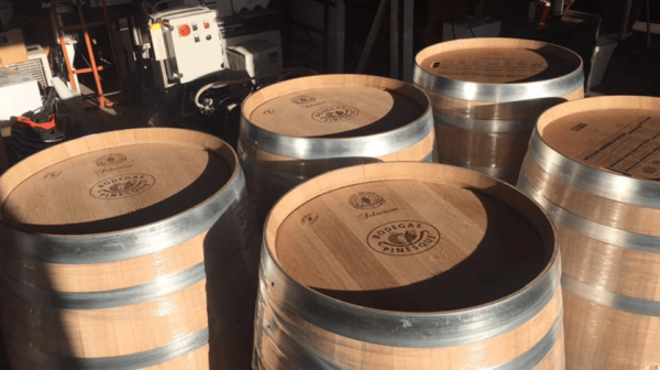 Chihuahua: Insignia Winery Wine Tasting Experience - Frequently Asked Questions