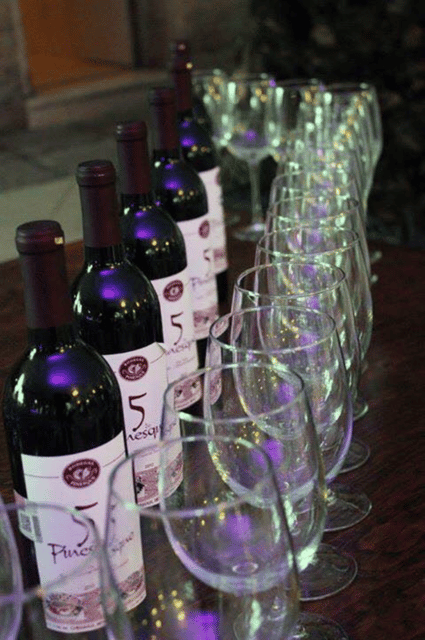 Chihuahua: Premium Wine Tasting Experience - Exclusive Wine Selection
