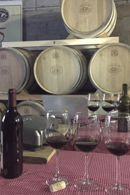 Chihuahua: Premium Wine Tasting Experience - Booking and Reservation