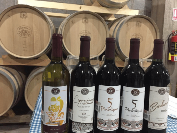 Chihuahua: Premium Wine Tasting Experience - Refund Policy and Cancellation