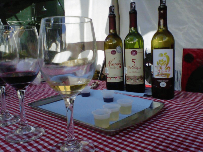Chihuahua: Wine Tasting Tour - Group and Language